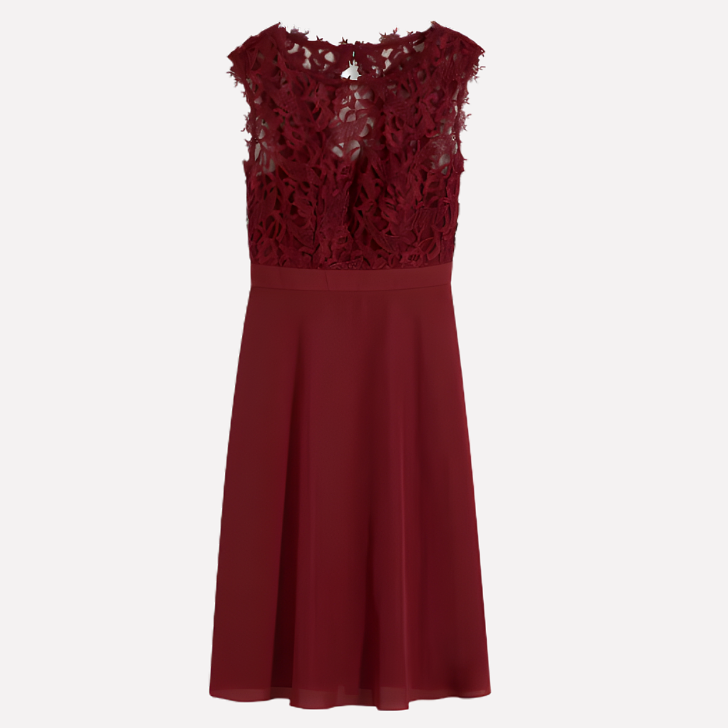 Damen Mini-Kleid – Spitzenbesatz, Tailliert & Feminin Elegant