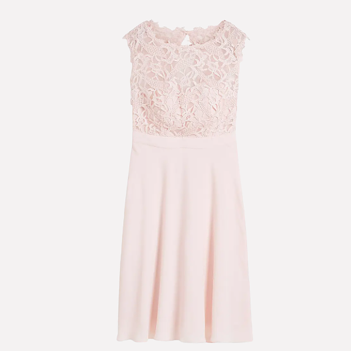 Damen Mini-Kleid – Spitzenbesatz, Tailliert & Feminin Elegant